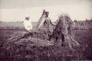 rukki hakki panek 1 300x201